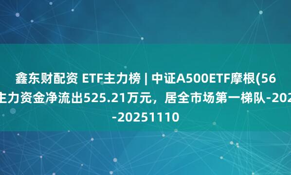 鑫东财配资 ETF主力榜 | 中证A500ETF摩根(560530)主力资金净流出525.21万元，居全市场第一梯队-20251110